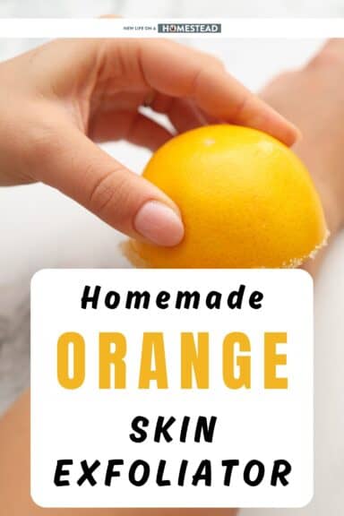 orange skin exfoliator Pinterest orange skin exfoliator Pinterest