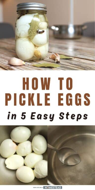 pickled eggs Pinterest