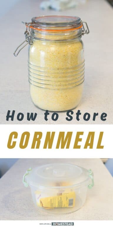 storing cornmeal Pinterest