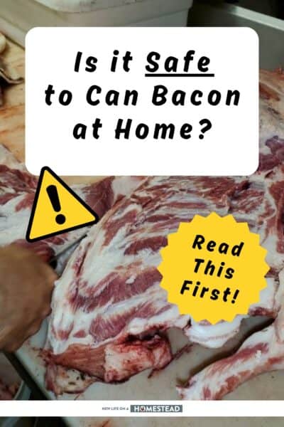 canning bacon safety Pinterest