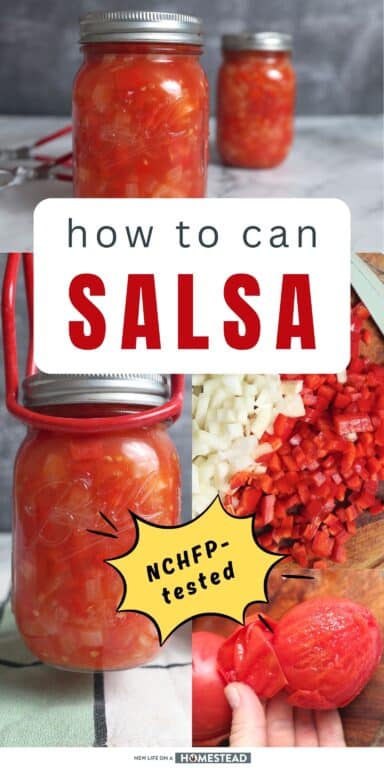 canning salsa Pinterest