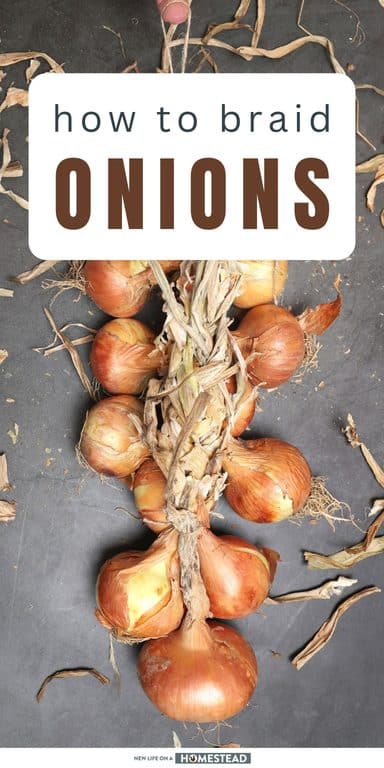 braiding onions Pinterest