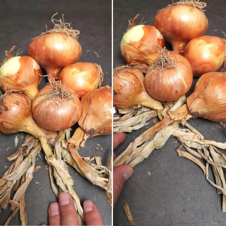 wrapping 5th and 6th onion